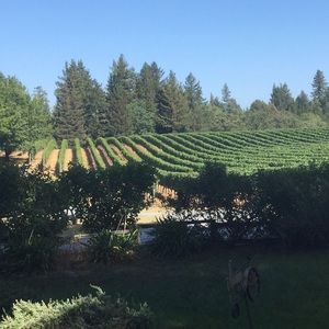 Meet your Posher, Peggy